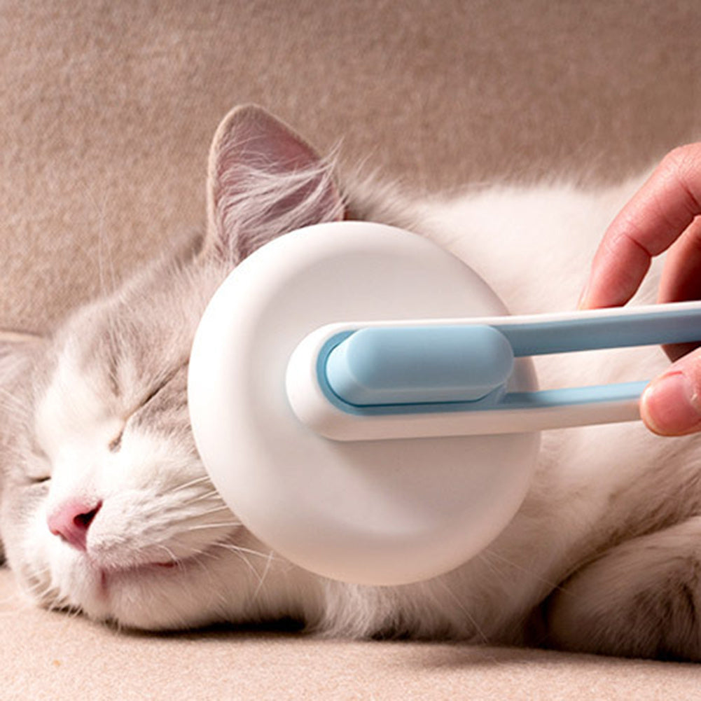 Pet Slicker Brush