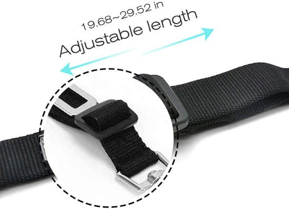 Extendable Dog Seat Belt